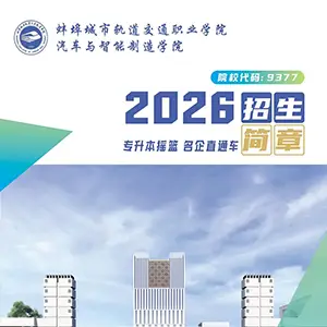�������й��2026��������