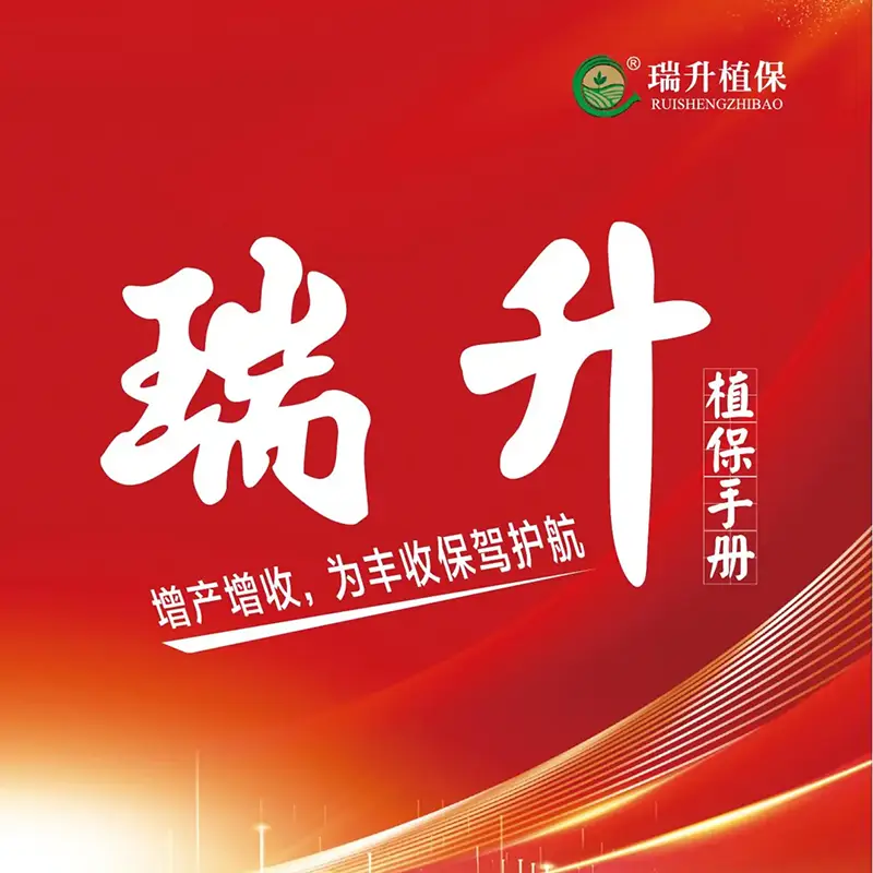 ����ֲ���ֲ�